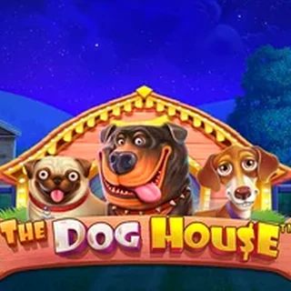 Превью игры The Dog House от студии Pragmatic Play